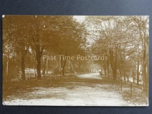 Nottinghamshire: Nottingham Forest - Old RP Postcard - Picture 1 of 2