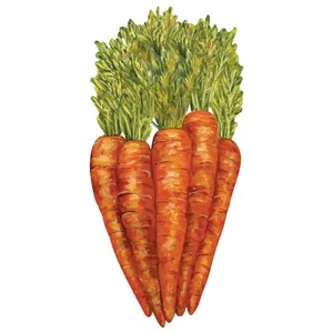Hester & Cook - Carrots Table Accents 12ct - KP860VS - Picture 1 of 3