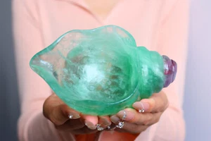 550g Top Natural Fluorite Conch Quartz Skull Crystal Specimen Reiki Healing Gift - Picture 1 of 10