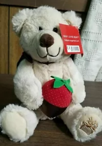 Chocolate Covered Strawberry Fruit Cute Gift Plush Teddy Bear 10 in - Picture 1 of 6