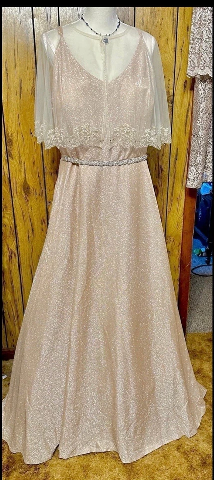 Mujer Vestido de Noche Dorado Champagne Faja Cinturón Capa NUEVO Talla 21-18W David Novia Foto 1 de 4