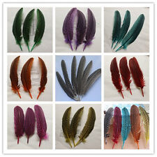 Wholesale 10/20/50/100 PCS 13-20cm/5-8inches carce guinea fowl wing feather DIY