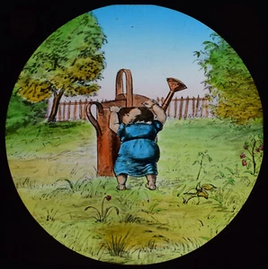 BABY WASP & PUPPIES NO5 C1890 Magic Lantern Slide CUENTO CÓMIC VICTORIANO - Imagen 1 de 3