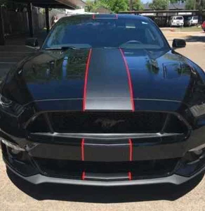 Ford Mustang Bonnet Roof Rear Pin Stripes Graphics Any Year Model Decals Rally - Picture 1 of 4
