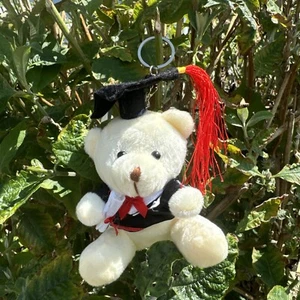 1x Abschluss weicher Teddybär Schlüsselring ca. 10 cm Universitätsdiplom Geschenkbär - Bild 1 von 5