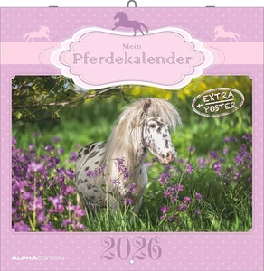 Mein Pferdekalender 2026 Wandkalender Poster Reit- Pferdeliebhaber - Bild 1 von 10