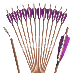 6/12pcs 31" Pure Carbon Arrows SP340 400 500 600 Feathers Compound Recurve bow - Picture 1 of 13