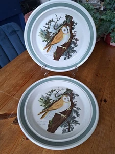 Pair of Vintage Portmeirion Birds of Britain "Barn Owl" Dinner Plates - Picture 1 of 3