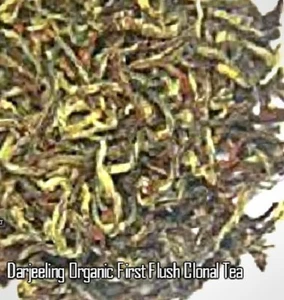 Darjeeling Tea (FRESH FIRST FLUSH) Organic First Flush Clonal Tea 500 Gms - Picture 1 of 3