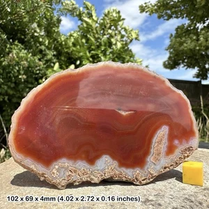 Red Agate Slice for Grounding and Protection - Picture 1 of 1