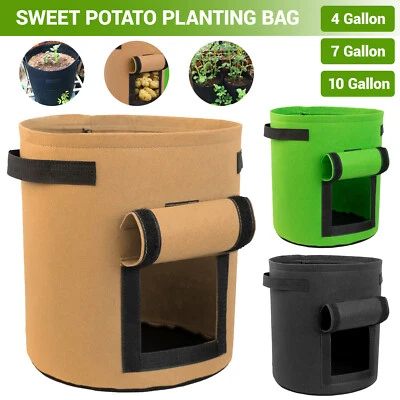 3X 10 Gallon Potato Grow Planter Container Bag Pouch Root Plant Growing Pot Side - Image 1 of 4
