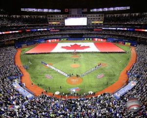 Foto enmarcada de los Azulejos de Toronto estadio de béisbol de MLB #2270 - Imagen 1 de 4