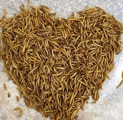 Igelfutter Naturfutter 100% Mehlwürmer getrocknet 1 Liter Beutel Proteine - Bild 1 von 2