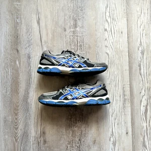 ASICS • GEL-Nimbus 14 "Silver/Blue" (10.5M) - Picture 1 of 14