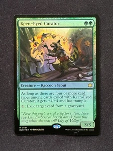 Keen-Eyed Curator (FOIL) - Bloomburrow (MTG) - Bild 1 von 2