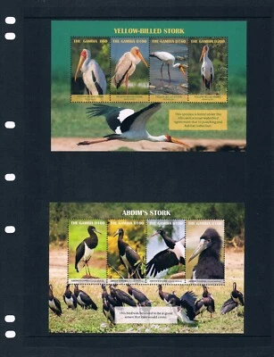 Valor Scott de $92,25 - Cigüeñas GAMBIA 2019 5 s/s African Birds Wildlife MNH NH UMM Foto 1 de 4