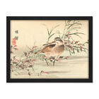 Kono Bairei Stream Bird Japanese Woodblock Framed Wall Art Print 18X24 In