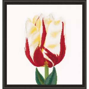 Thea Gouverneur Flamed Tulip Counted Cross-Stitch Kit - Picture 1 of 1