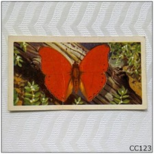 Brooke Bond Butterflies Of The World #7 Cymothoe sangaris Tea Card (CC123)