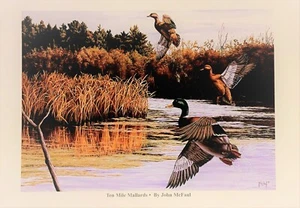 Duck Art, Sporting Art, Mallard  Ducks, Signed print, open-edition, wildlife Art - Picture 1 of 9