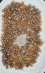 Natural Freeform Nice Quality of Hessonite Garnet Crystals From Mohmand Pakistan - Picture 1 of 9