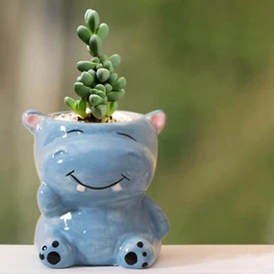 Fioriera animale ceramica ippopotamo fioriera succulenta vaso piccola pianta fiore decorazione casa - Foto 1 di 9