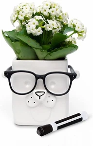 Novelty Puppy Planter Ceramic White Pot by 30 Watt Customizable 4.33x4.33x5in - Picture 1 of 13