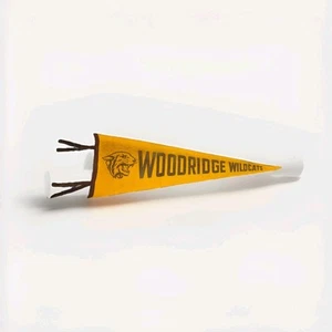  Vintage Woodridge Wildcats Pennant Banner Souvenir School Sports Felt  - Picture 1 of 7