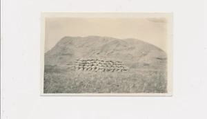 1912 Unusual Abstract & Scale + Visual Document Caption Part Grain & Straw Stack - Picture 1 of 2