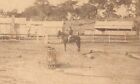 AUSTRALIA CDV PHOTO POLICE CAMP at GRAYTOWN (NAGAMBIE / HEATHCOTE) 1860s UNIQUE?
