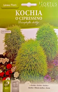 KOCHIA O CIPRES en bolsa termosellada - Imagen 1 de 1