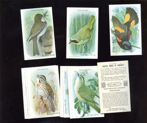 1938 Church & Dwight Useful Birds of America Series 1 Complete Set of 15 NRMT - Picture 1 of 1