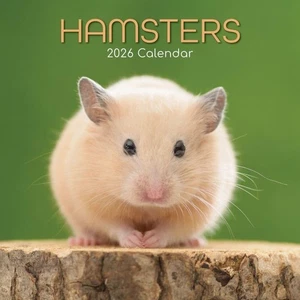 HAMSTERS - CALENDARIO DE PARED 2026 - NUEVO - 223856 - Imagen 1 de 2
