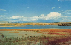 Postkarte Colorado River - Bild 1 von 2