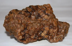 Vintage Display Specimen Petrified Teredo Worm Wood Fossil 1+ lb - Bild 1 von 11