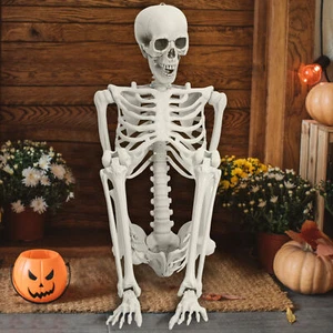 5.4FT Poseable Skeleton Prop Life Size Halloween Human Bones Skeleton Supplies - Picture 1 of 17