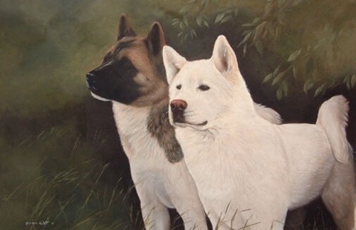 Akita Limited Edition Art Print Two of a Kind by Steven Nesbitt* | eBay