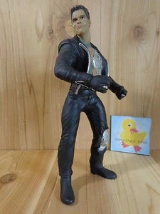 Arnold Schwarzenegger TERMINATOR T2 Action Figure 11" Carolco Plastic 1992 - Picture 1 of 4