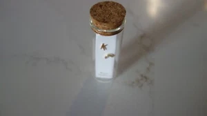 Kris Nations PRETTY LITTLE THINGS Buchstabe K/Regenbogen 18K Gold Vermeil Ohrringe - Bild 1 von 13