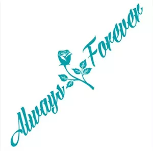 Pegatinas Coche Always And Forever JDM Parabrisas Banner Motivación 24cm X 90cm - Imagen 1 de 1