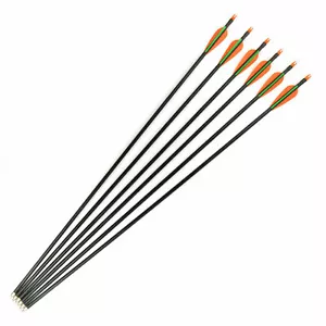 6X 30"Fiberglass Arrow Sp500 Plastic Vane 8mm For Compound Bow Shooting Archery - Picture 1 of 7