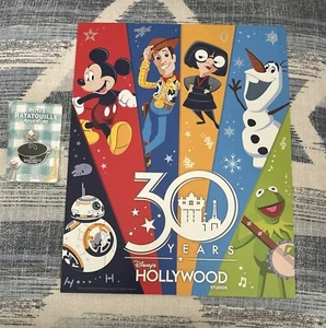 Disney Hollywood Studios 30th Anniversary Poster & Remy’s Ratatouille Pin Neu - Bild 1 von 3