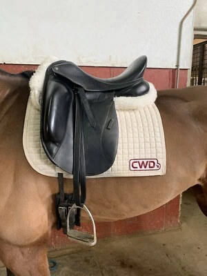 Custom Saddlery Dressage Saddle Monoflap 16.5” Woolflocked - Image 1 of 4