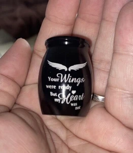 Black Steel Mini Memorial Cremation Keepsake Urns For Pet Dogs Cats Ashes Small - Picture 1 of 12