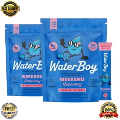 Waterboy Weekend Recovery Strawberry Lemonade L-Theanine + Vitamins 24 Stick USA - Image 1 of 4
