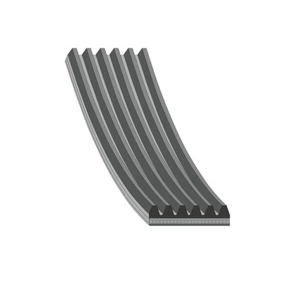 FEBI BILSTEIN Keilrippenriemen 1925mm für FORD Escort VI Cabrio (ALL) 28992 - Bild 1 von 4