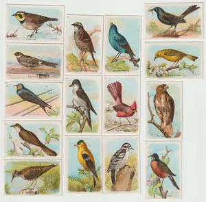 Set 1914 Church & Dwight's Arm & Hammer Cow Brand Soda Useful Birds Trade Cards - Picture 1 of 2
