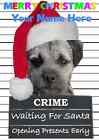 Border Terrier Weihnachten PIDZ112 A5 Weihnachtsgrußkarte personalisiert Mutter Vater Sohn