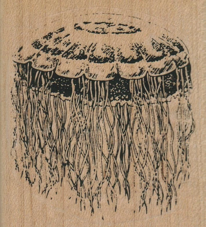 Sello de goma para tentáculos de medusas de 2 1/2 x 2 3/4", océano, náutico, playa Foto 1 de 1