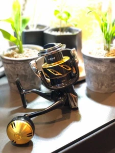 Shimano 20 Stella SW 6000XG Spinnrolle Modell 2020 Salzwasser 425g Schaltung 6,2 - Bild 1 von 13